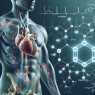 Le tamoxifène et les risques de développer des arythmies cardiaques